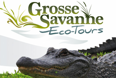 Grosse Savanne Eco-Tours