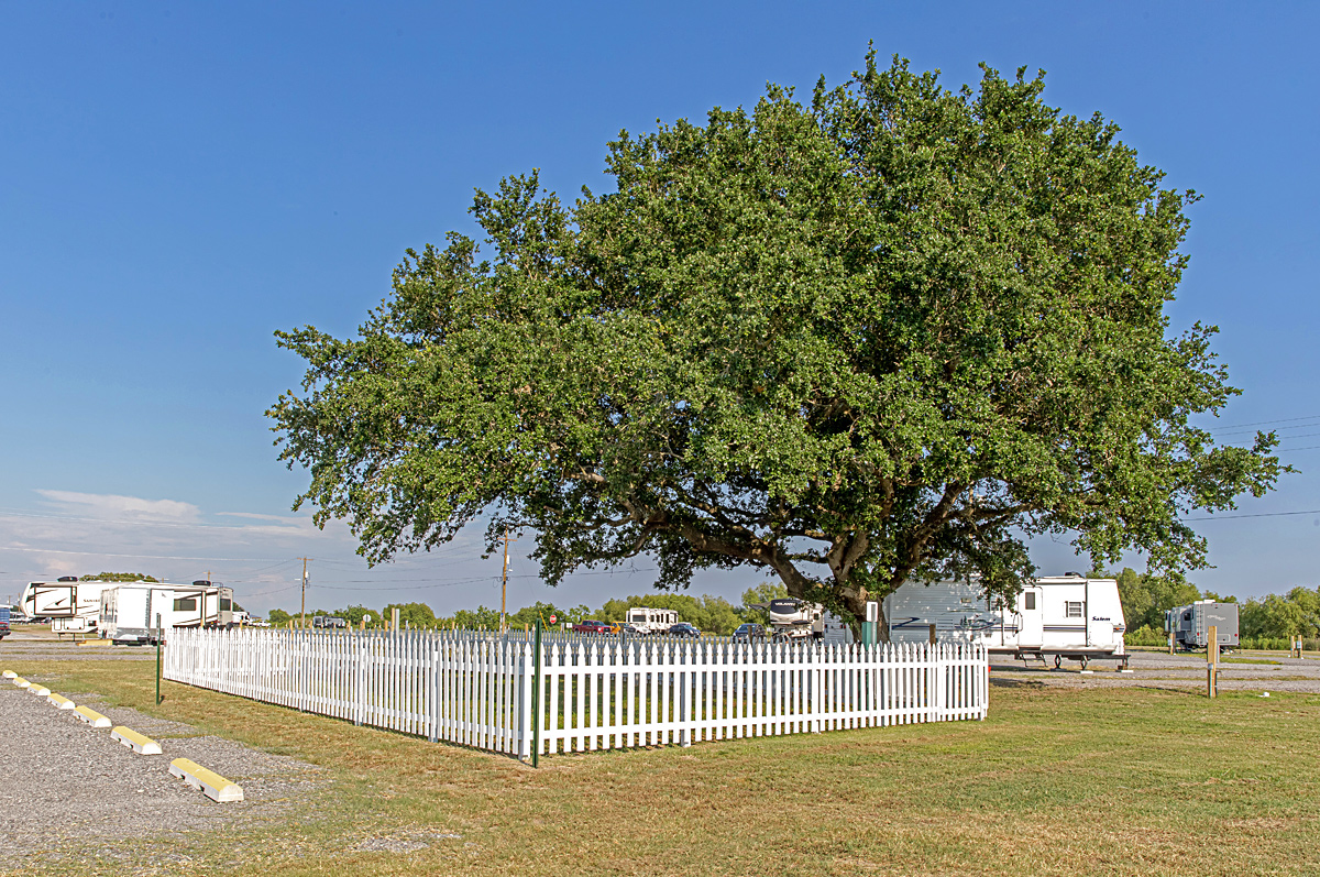 Cameron Park The best RV Park near the Venture Global LNG Project